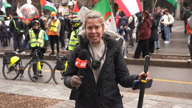 You Won't Believe What's Going On in Montreal