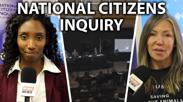 Farmers sound the alarm at Citizens Inquiry: 
