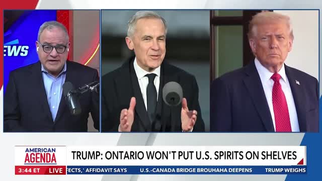 Gordie Howe Bridge dispute: Ezra Levant tells Newsmax what tensions are really about
