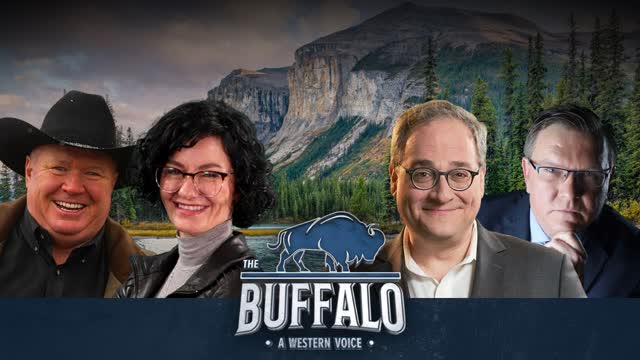 Gondek raided, Immigration disaster, Pipeline deal falters | Buffalo Roundtable