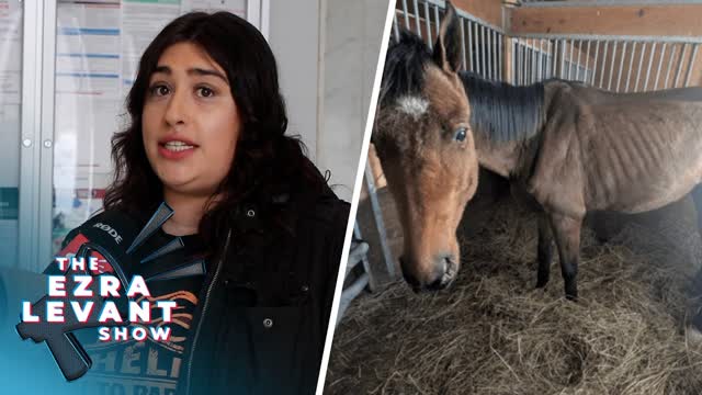 Horses need rescuing� from this horrifying Toronto rescuer | THE EZRA LEVANT SHOW
