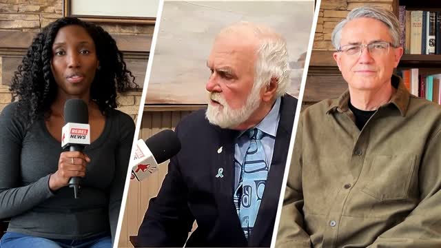 B.C. school trustee resigns after shocking �woke� Human Rights Tribunal ruling