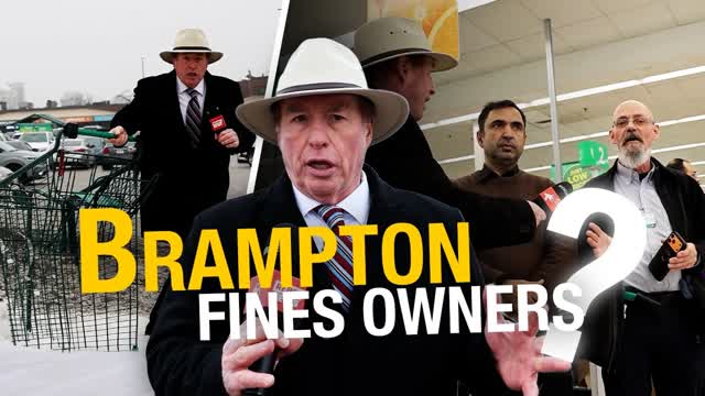 You Get Robbed, Then You Get Fined: Brampton Is Punishing Grocery Store Owners for Cart Theft