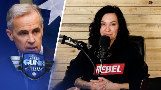 When the news cycle eats your week � you read the comments | THE GUNN SHOW