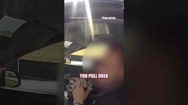 Tesla driver FIGHTS TICKET after blaming autopilot for speeding #foxnews #news #us #fox
