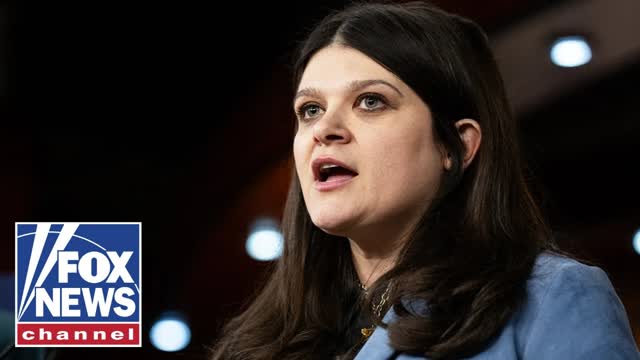 WATCH: Haley Stevens holds election watch party