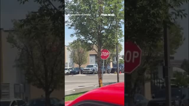 NEW: Video shows gunman opening fire outside an Idaho In-N-Out Burger #shorts #news #foxnews #fox