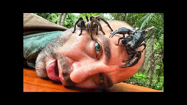 These Bugs Sent Me to the Hospital!