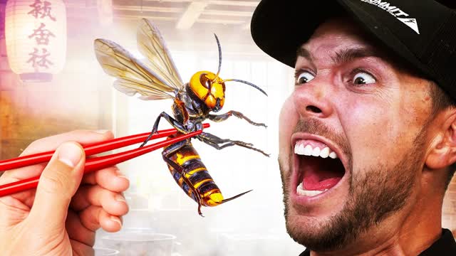 Eating Murder Hornets! Most Painful Bug Rituals