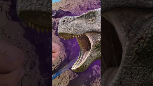 We found REAL DINOSAUR TEETH!