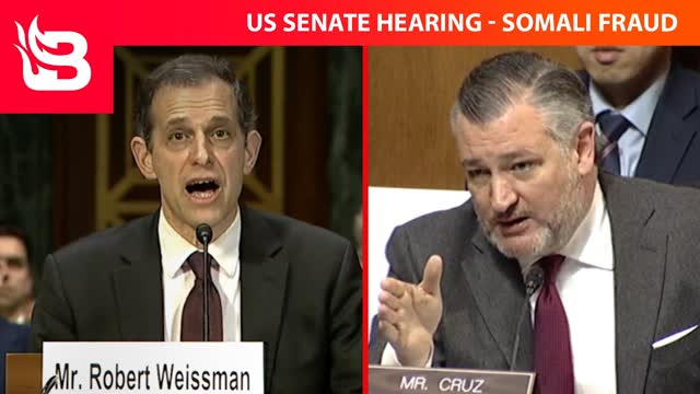 Minnesota Somali Fraud: Ted Cruz SLAMS Lib Witness at Senate Hearing