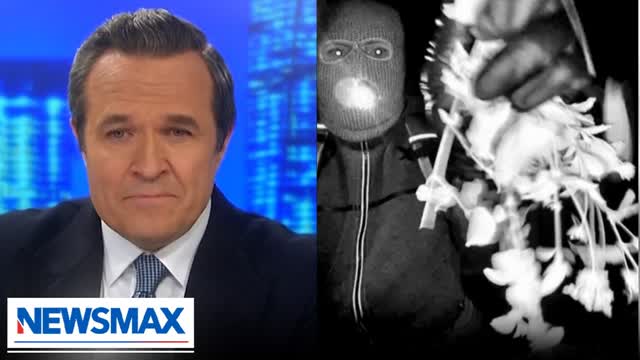 Greg Kelly: 'Remember this about criminals: they're not smart'