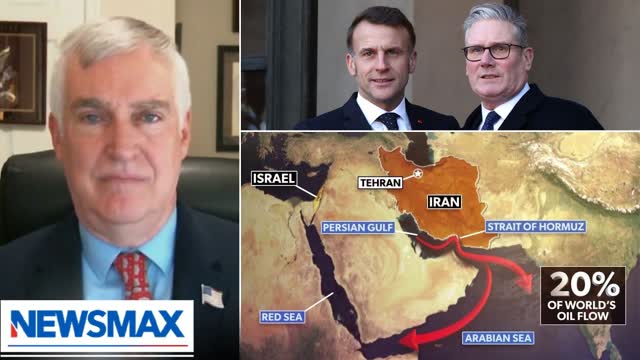 �Very telling� that allies won�t help secure Strait of Hormuz: Fred Fleitz