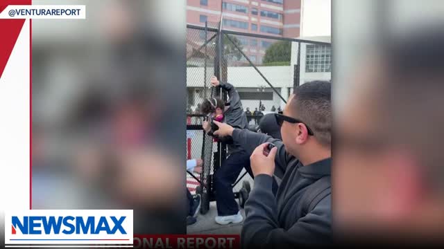 Independent journalist: 'No Kings Day' in Los Angeles was dangerous, chaotic | National Report