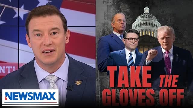 Carl Higbie: 'We need to fight fire with fire, do the same thing to Dems'