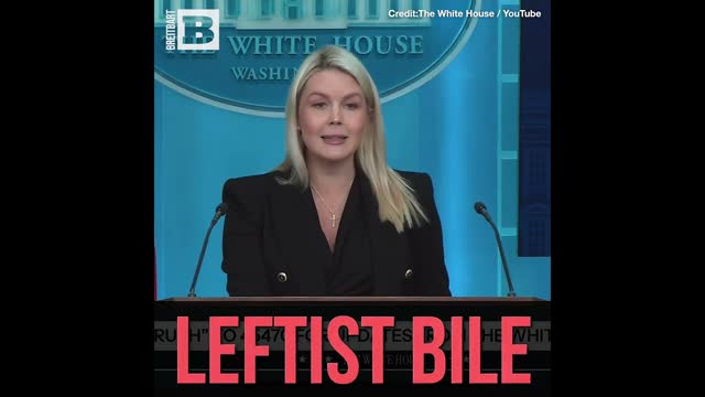 Leavitt: Lies About Trump Have Led "Crazy People to Believe Crazy Things" and "Commit Violence"