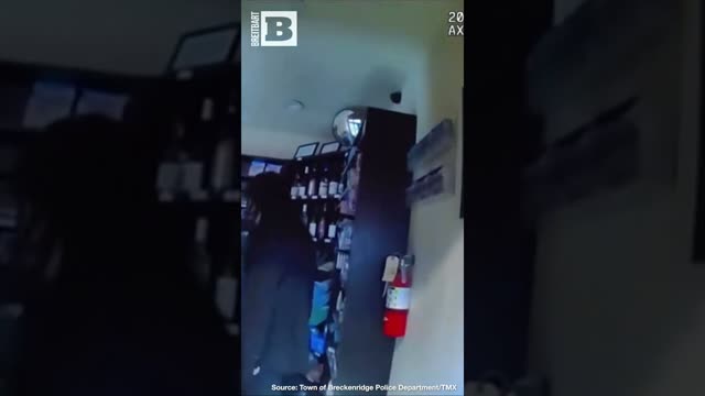 Colorado Police Expose Bear as M&M Thief!