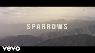 Jason Gray - Sparrows (Lyric Video)