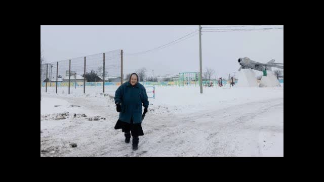 Moscow Agrees to Trump's Proposal to Halt Strikes on Kyiv Due to Extreme Cold