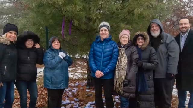 Fighting Fentanyl One Rock at a Time Purple Rock Project