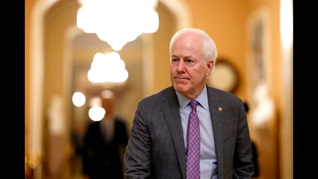 Texas Republican Primaries Will Determine �Who Has the Most Intensity�: Analyst