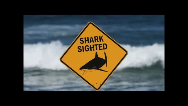Australia Shuts Dozens of Beaches After Shark Attacks
