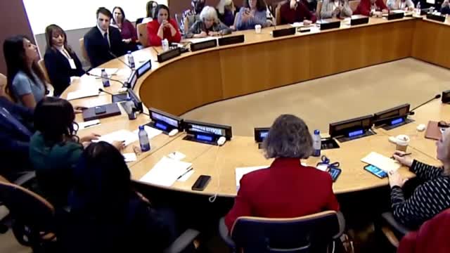 Iranian Women Share Their Experience of Iran�s Human Rights Abuses at United Nations
