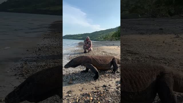 Chillin with a dragon on the beach ?? ?
