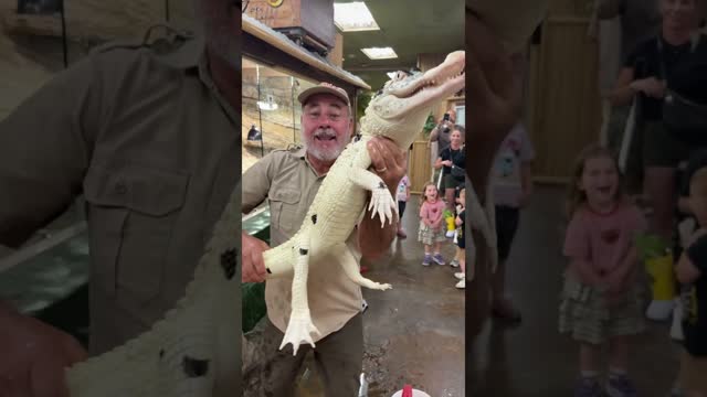Feeding these pied gators ? ?