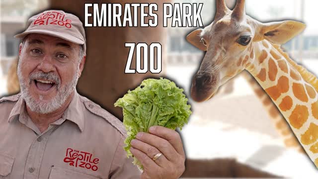 Exploring Emirates Park Zoo | Wild Animals & Amazing Encounters ?