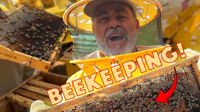 Beekeeping For a Day ? Trying Not to Get Stung?