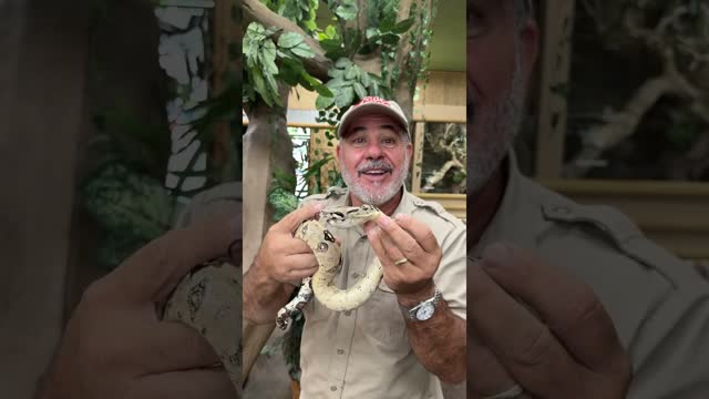 Got a crazy snake for y�all today ?