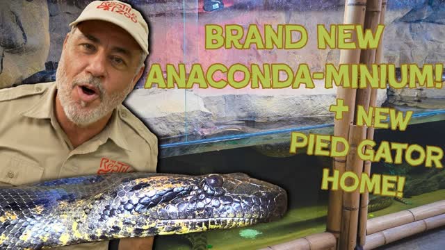 Our Anaconda's are Getting a New Home?  Upgrades for the Zoo?