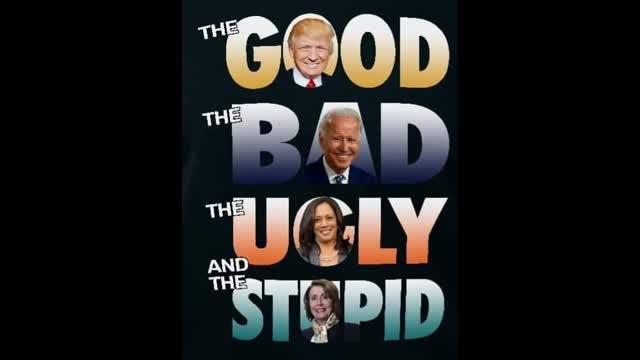 The Good, the Bad, the Ugly, the Dumb