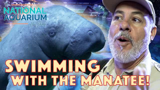 Visiting One of the Greatest Aquariums on Earth?